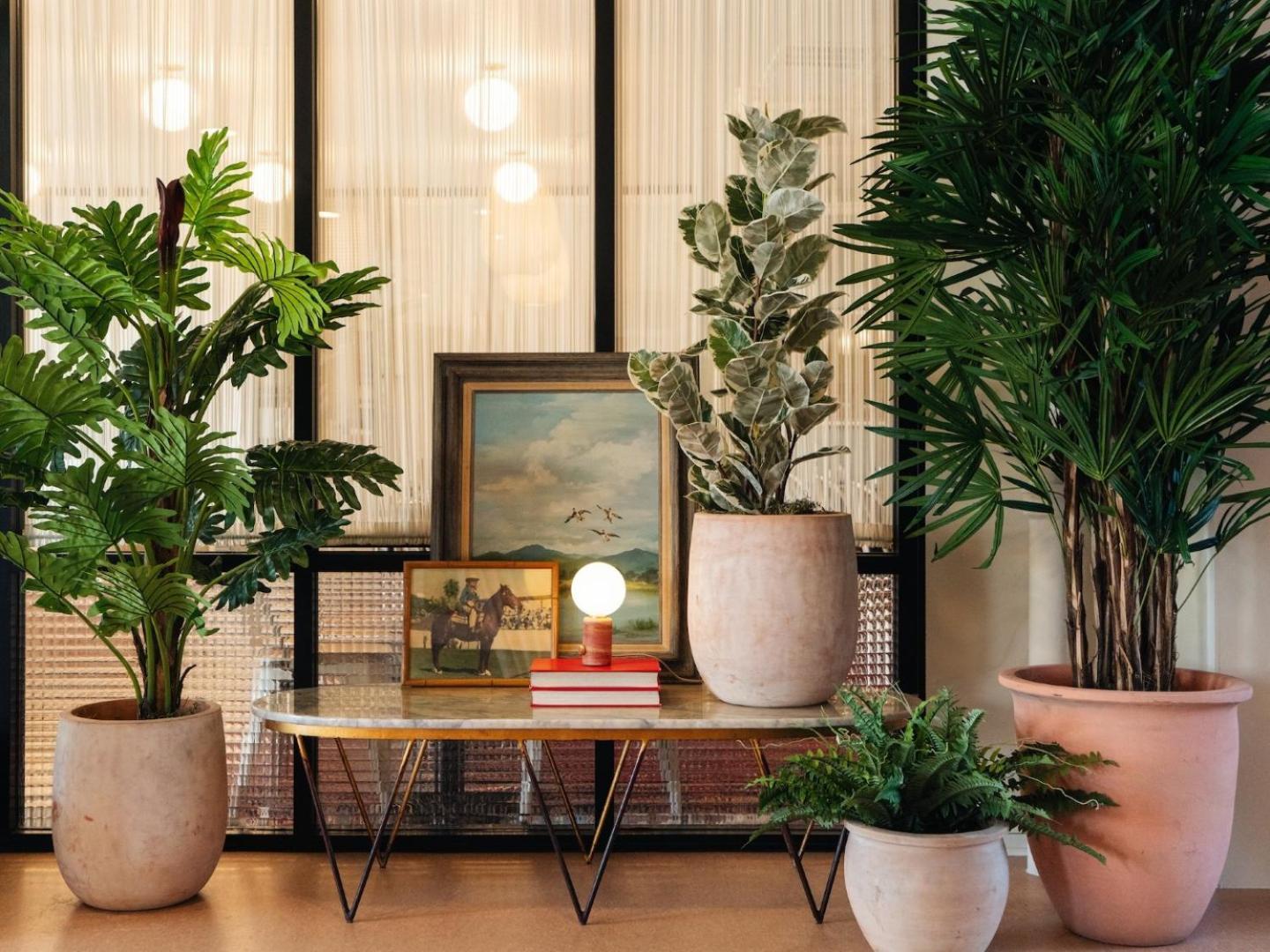 Palihotel Melrose — Photos 2